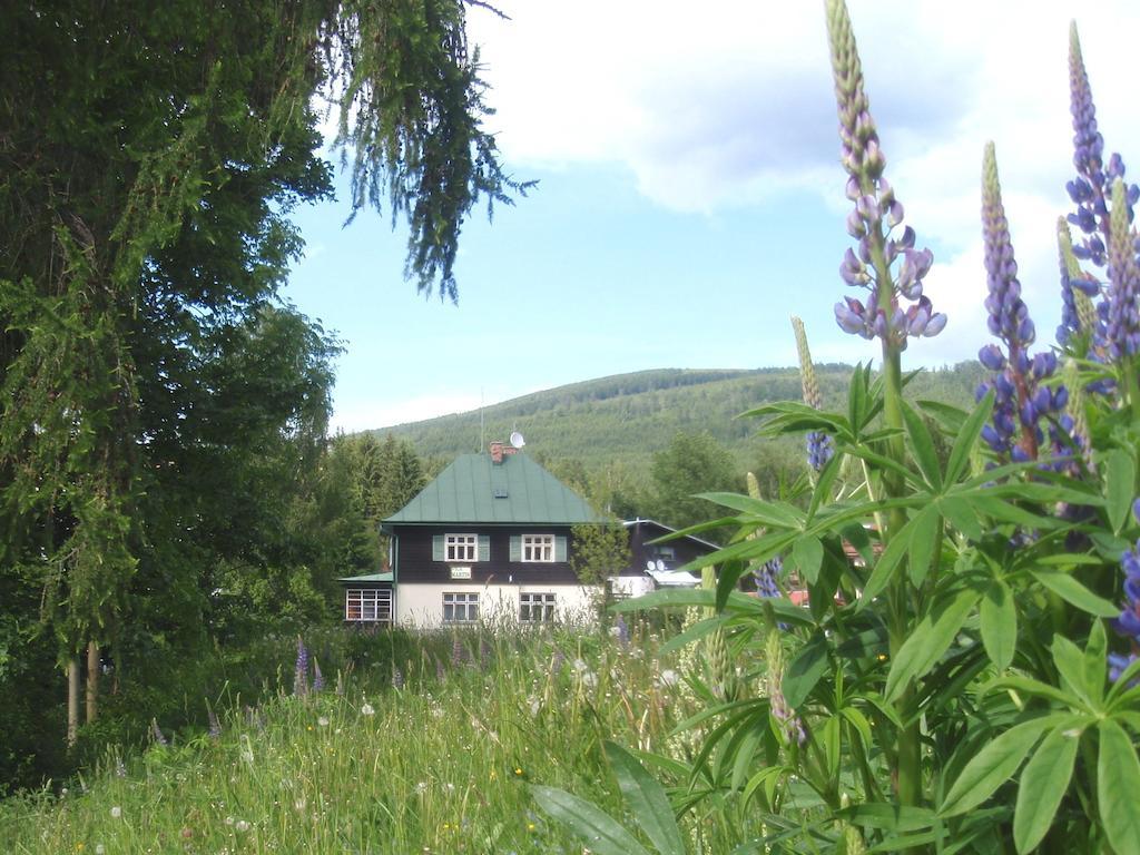 Vila Martin Harrachov Exterior photo